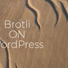 Optimización de la Compresión Brotli en WordPress