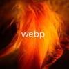 Plumas con webp